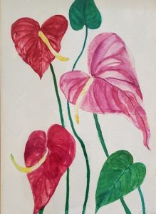 red and pink anthurium flowers